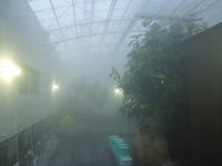 DSCN5828