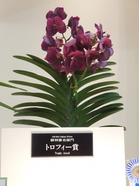 DSCN4666