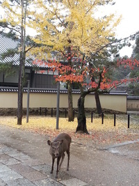 20141125_085830