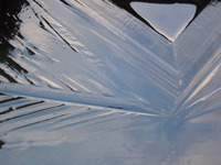 DSCN9857