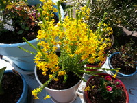 20150329_161945
