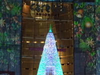 DSCN0818