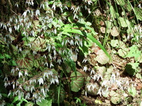 DSCF7314