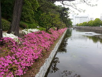 20160423_144259