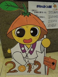DSCN8572