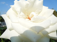 DSCN9862