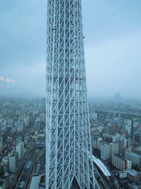 DSCN0382
