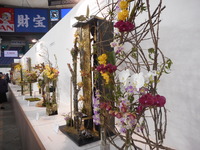 DSCN0415