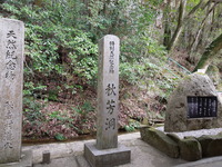 DSCN5663