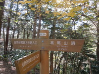 DSCN0622