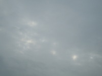 DSCN0102