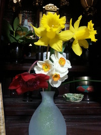 20160401_075415