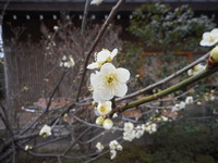 DSCN0538