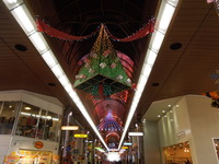 DSCN0938