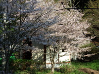 DSCF1284