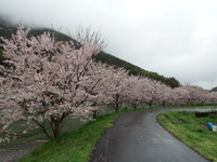 DSCF1093