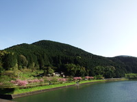 DSCF7106