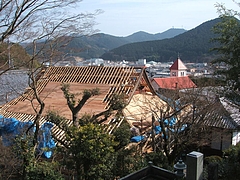 DSCF2446
