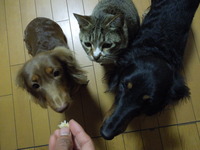 DSCN1198