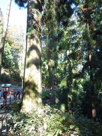 DSCN0577