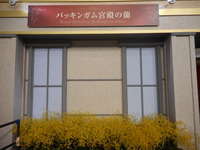 DSCN0425