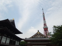 DSCN0453