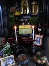RIMG0287