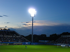 IMGP3391