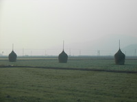 RIMG0143