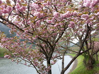 20150416_142324