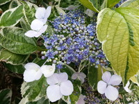 20160528_164653