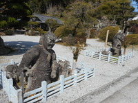 DSCN0861