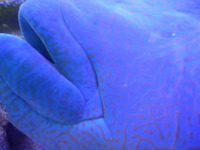 DSCN0469
