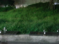 RIMG0324