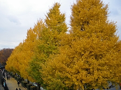 IMGP5688