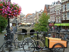 IMGP4420