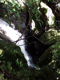 DSCF7549