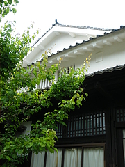 IMGP3044