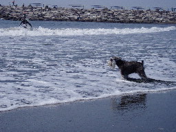 20060521naish