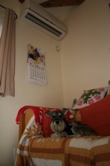 a6868e86.JPG