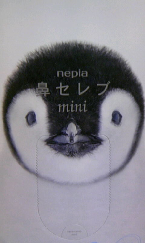 皇帝ペンギン子