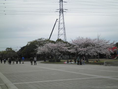 P4050007
