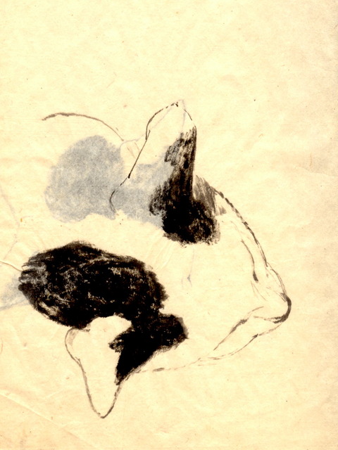 img031