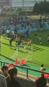 4606d525.jpg