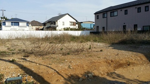 ししのこ保育園市川(菅野4丁目)