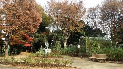 千葉県市川市須和田公園のバラ園