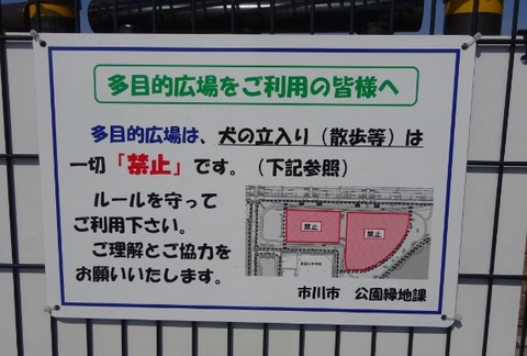 国分川調整池緑地の犬の散歩