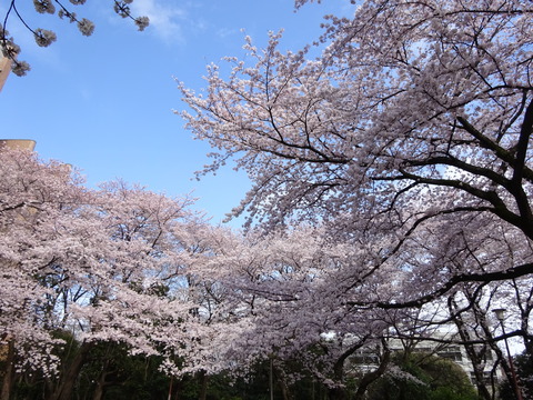 DSC01941