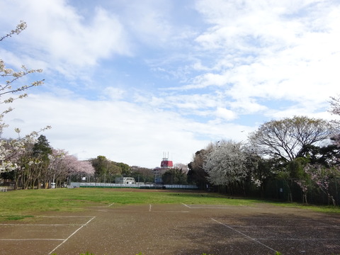 里見公園駐車場