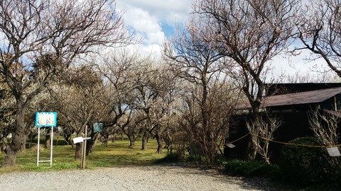 大川原梅園の入口